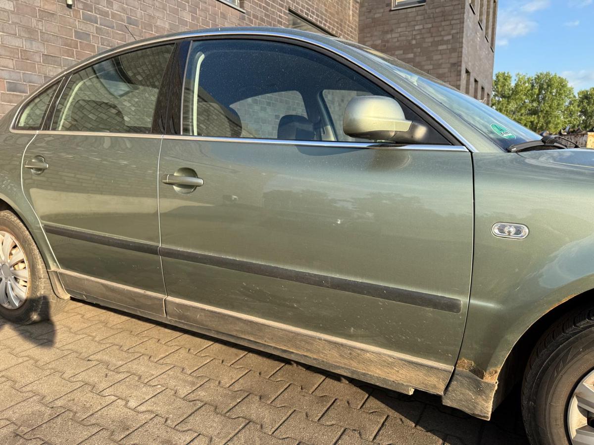 VW Passat 3BG original Tür vorn rechts LA6W Frescogrünmetallic Rohbau BJ01
